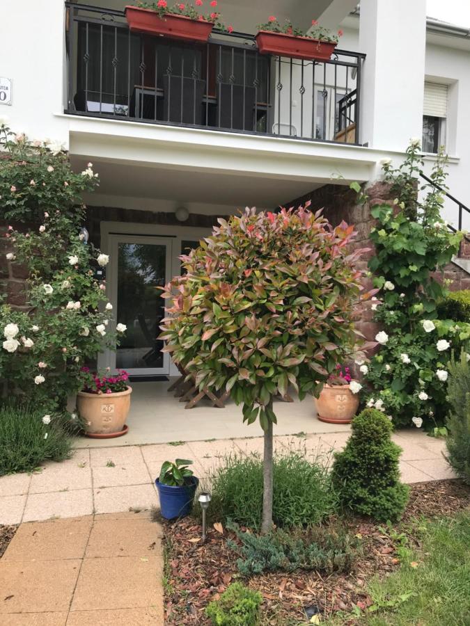 Levendula Apartmanhaz Badacsonytomaj Dış mekan fotoğraf