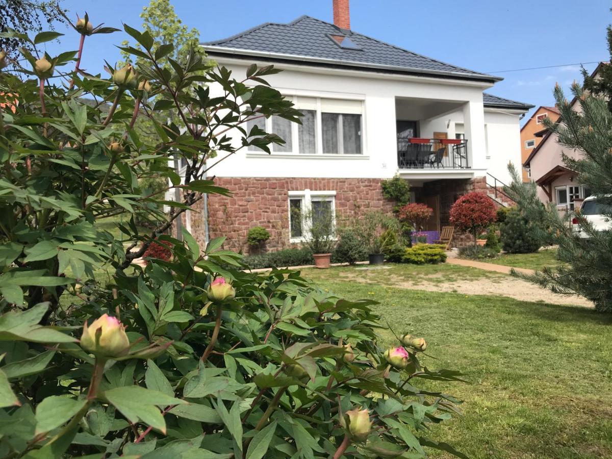 Levendula Apartmanhaz Badacsonytomaj Dış mekan fotoğraf