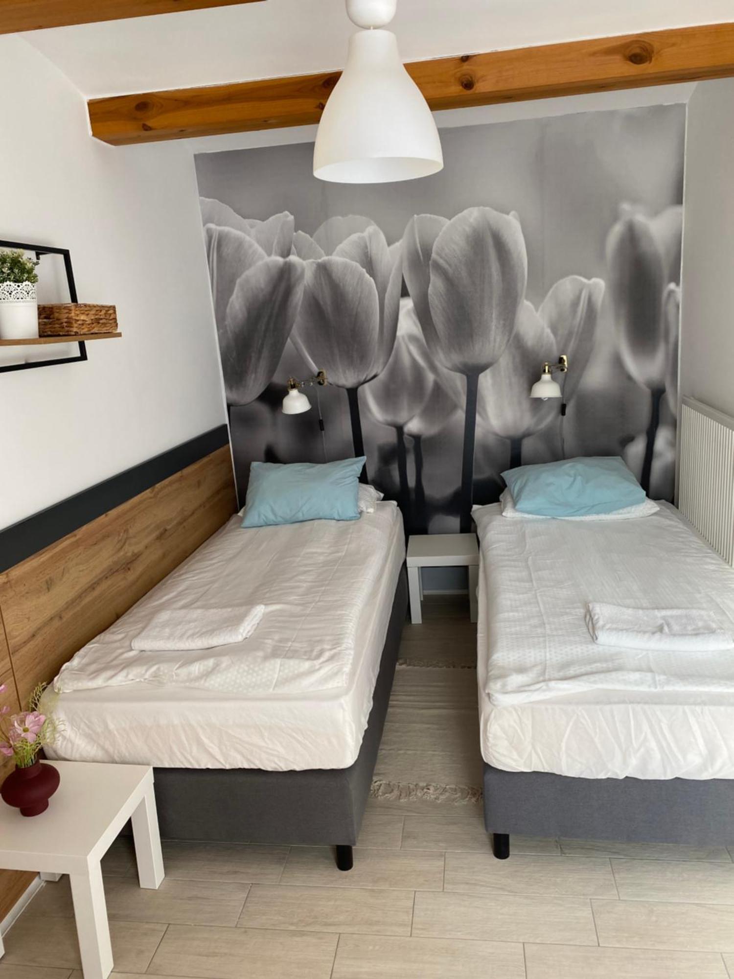 Levendula Apartmanhaz Badacsonytomaj Dış mekan fotoğraf